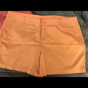NWOT! Fun orange sherbet shorts!